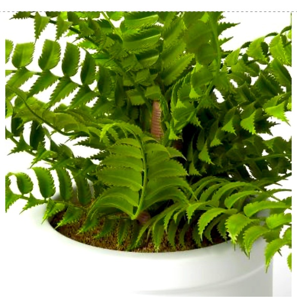 BRAND NEW!  Small Boston Fern - Threshold - Picture 3 of 4